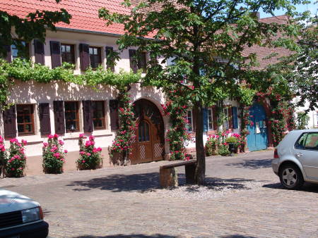 Winzerhaus in Rhodt unter der Rietburg