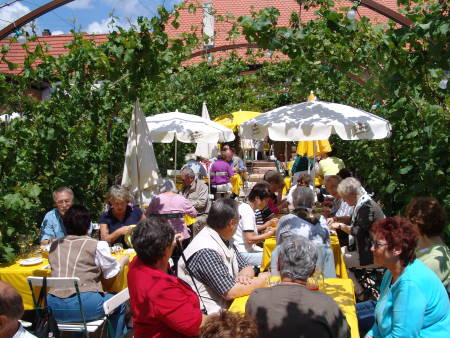 Beim Mittagessen unter Reben in Rhodt unter der Rietburg