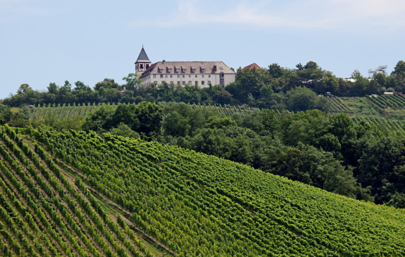 Jugendhaus Michaelsberg bei Cleebronn