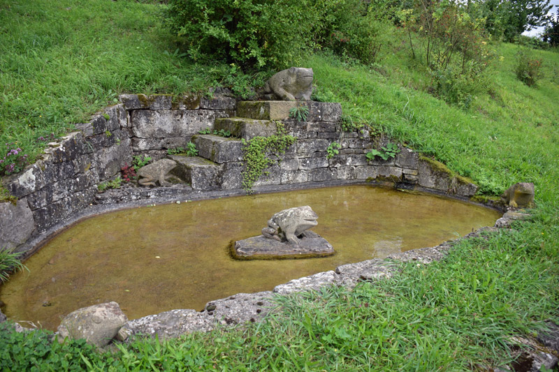 Der Grtenteich (Wetterfrsche)